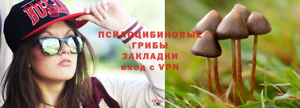 амф Костерёво