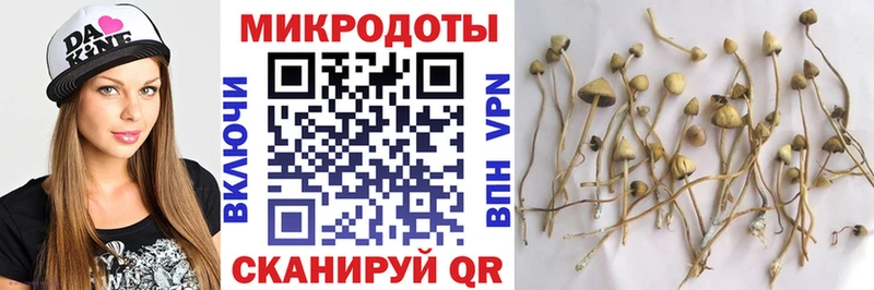 omg как войти  Ермолино  Галлюциногенные грибы Magic Shrooms 